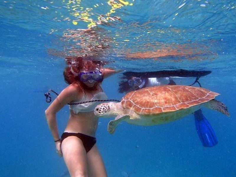 Florida Keys Eco Tour -snorkel, kayak, lunch + transportation