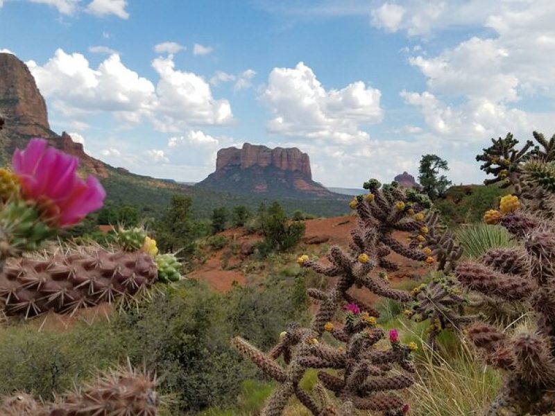 Private Sedona Day Trip from Phoenix or Scottsdale