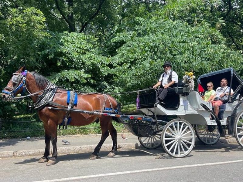 NYC Guided Central Park horse Carriage Ride( VIP PRIVATE)