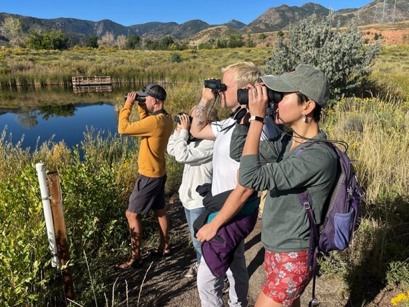 2 Hours of Mindful Bird Watching near Denver