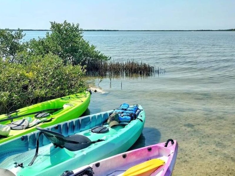 Kayak the Pristine Waters of Mosquito Lagoon Guided Eco Tour