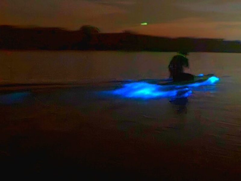 Discover the Magic of Bioluminescence Guided Kayak Eco Tour