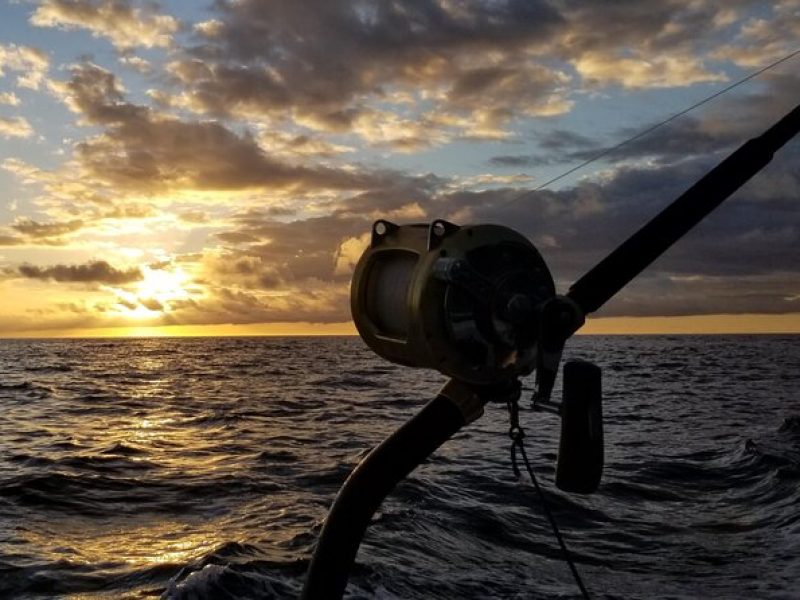 4 Hour Private Sunset Fishing Charter