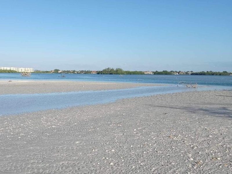 Dolphin shelling and Eco tour out of Madeira Beach FL