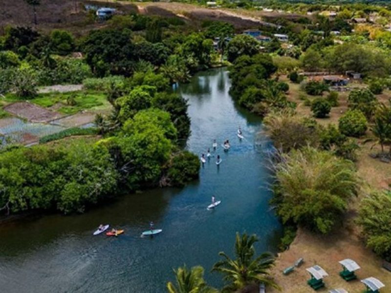 North Shore Farm: River to Ocean Kayak-Sup, Turtles, Lunch & More