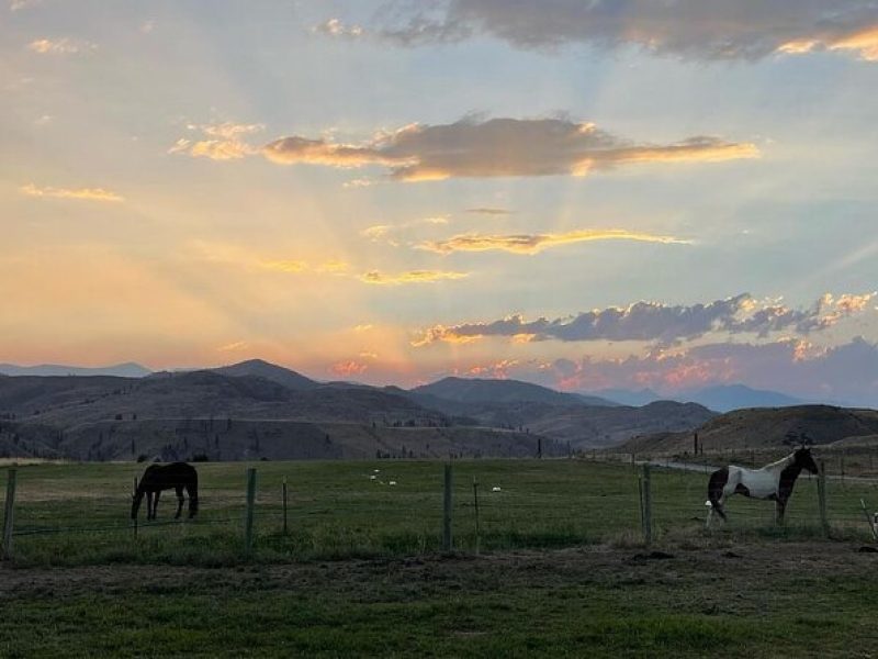 Guided Walking Tour of Methow Meadows and Meet the Animals