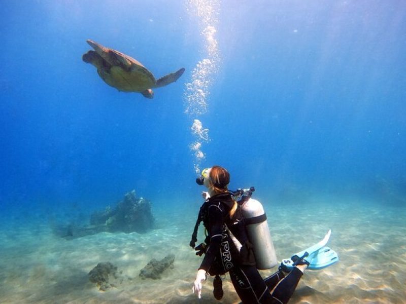 Scuba Diving in Maui with No Experience Needed