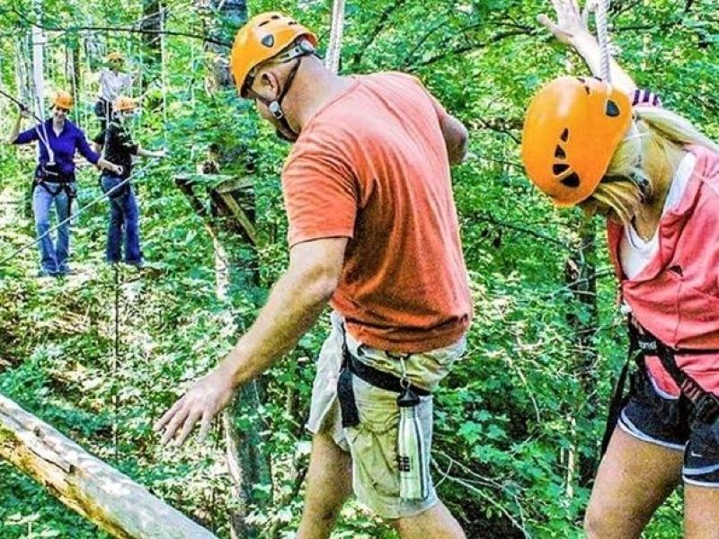 Fontanel Zipline Forest Adventure at Nashville North