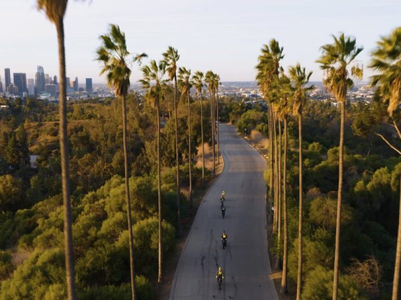 Eastside Express by luxury e-bike: LA River Frogtown Go Dodgers!