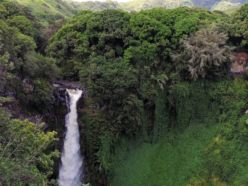 Road to Hana Full Day Tour with A Guide