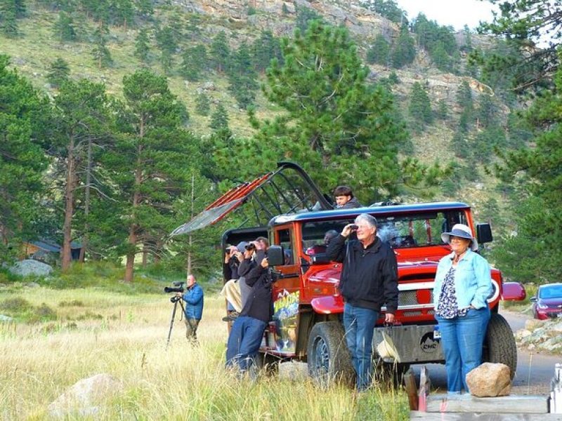 Wildside 4X4's Elk Watching Tour