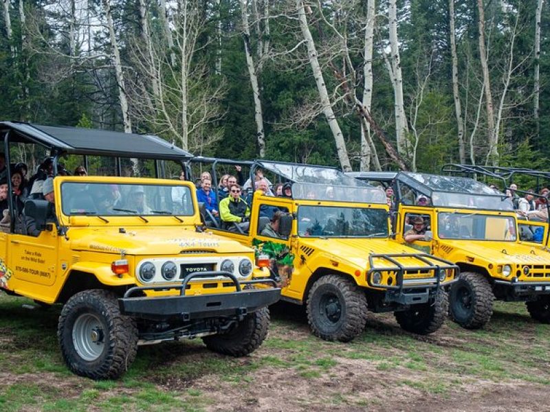 4WD Panoramic Peak Photo Tour in Estes Park