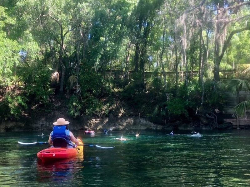 Wekiva River Guided Kayak Tour