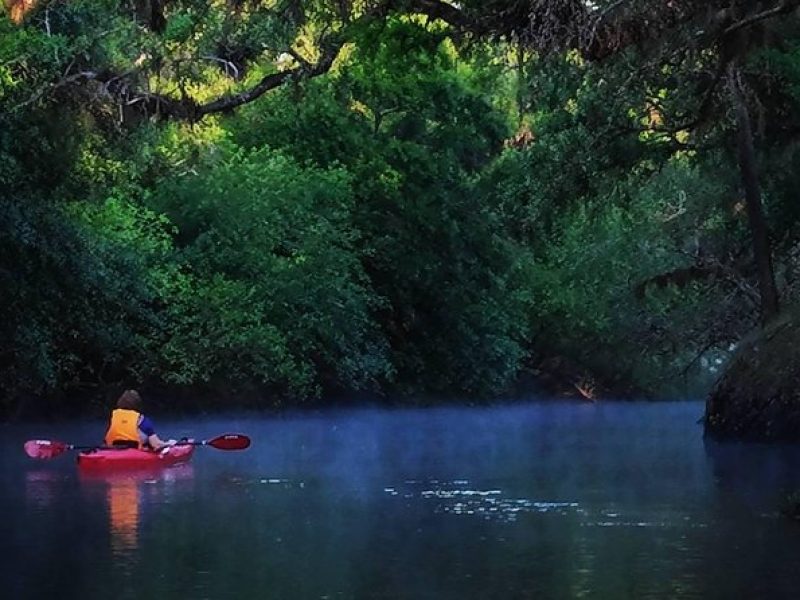 Econlockhatchee River Kayak Tour