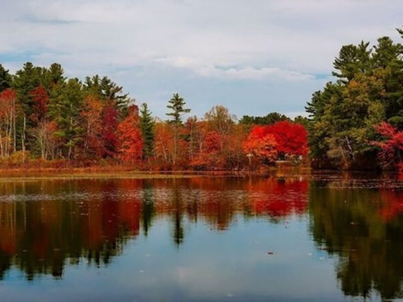 Private Fall Color Tour of Lake Leelanau with Licensed Guide