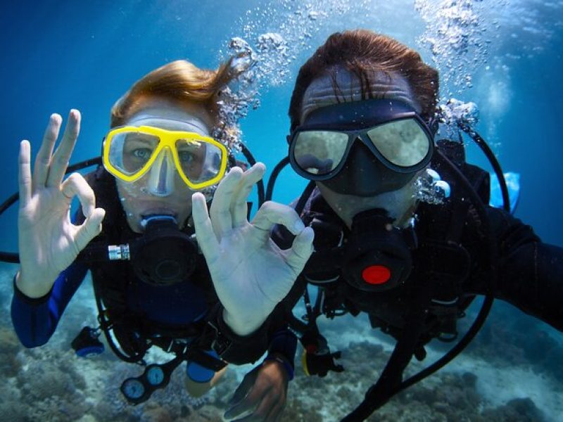 Discovery Scuba in Waikiki Under Water Adventures