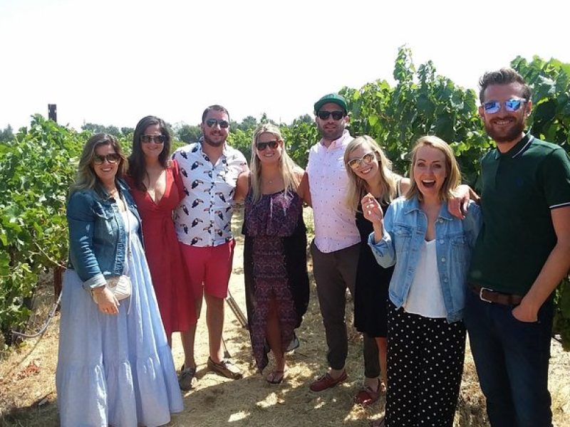 Small-Group Wine Country Tour from San Francisco with Tastings