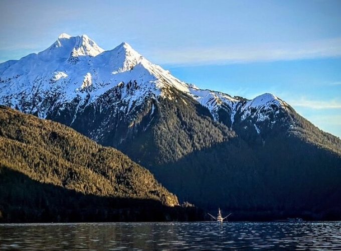 Private Water Taxi and Land Tour, Sea it All -Sitka Wildlife