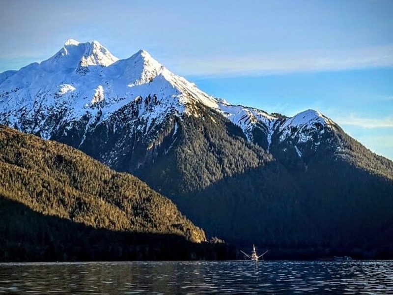 Private Water Taxi and Land Tour, Sea it All -Sitka Wildlife