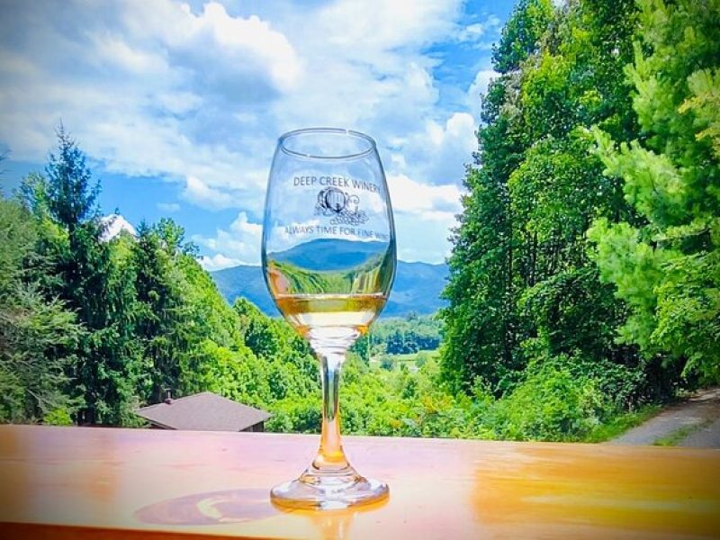 Great Smoky Mountains Private Wine Tours from Asheville