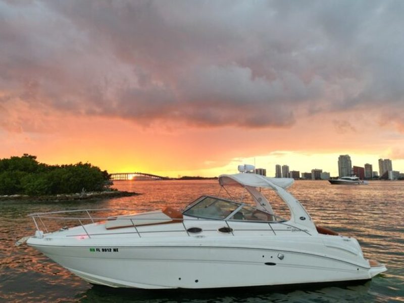 Private Captained Boat Tour in Miami for up to 12 Passengers