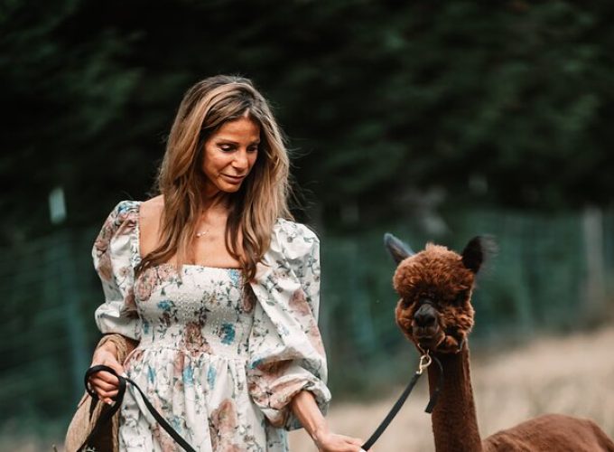 Photoshoot with Alpacas and Farm Experience near Seattle