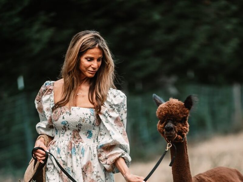 Photoshoot with Alpacas and Farm Experience near Seattle