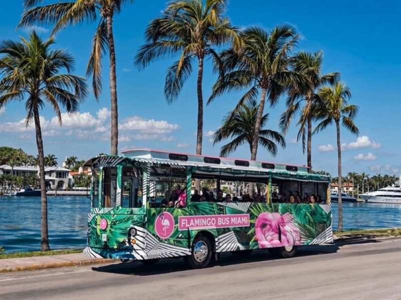 Flamingo Bus Miami Tour