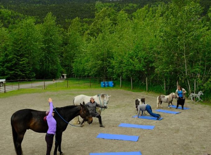 Yoga with Horses