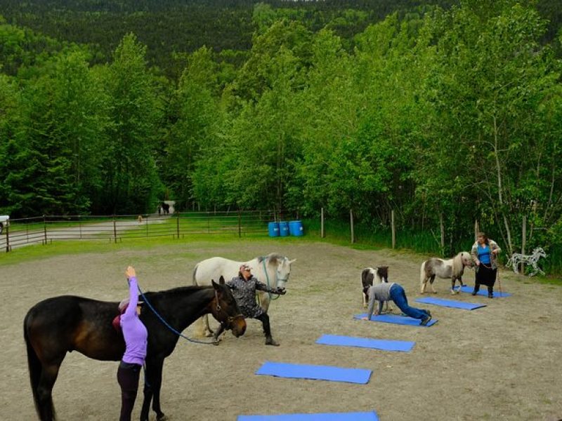 Yoga with Horses