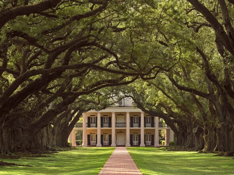 Full Day Plantation -N- Swamp Tour in New Orleans