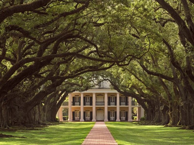 Oak Alley Plantation Half Day Tour