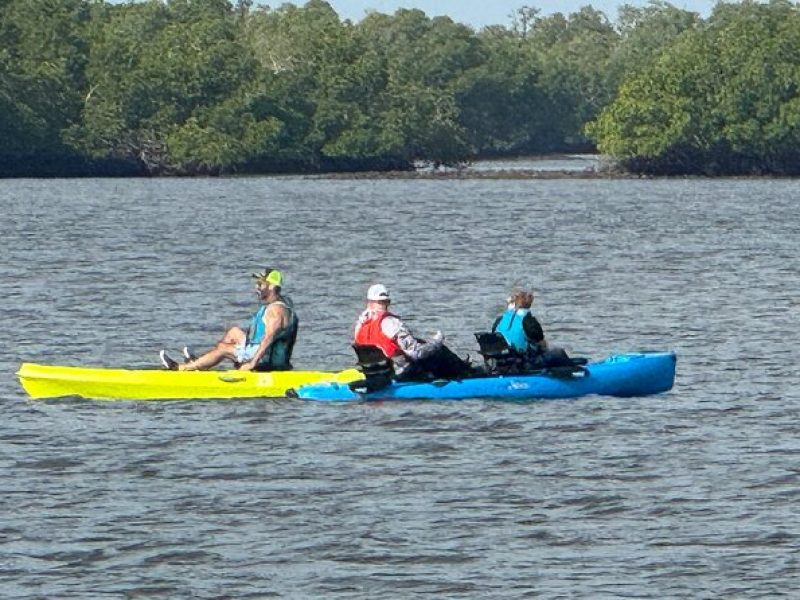 2 Hour Chokoloskee Island Kayak Tour