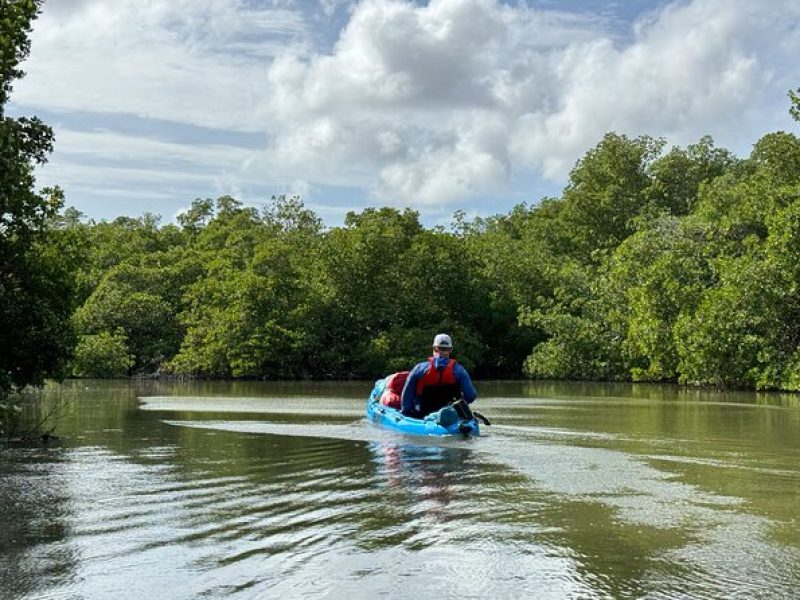 4 Hour Everglades Kayak Tour