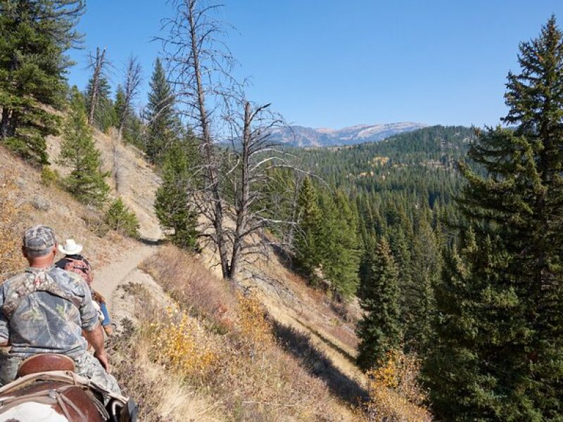 Bridger-Teton Horseback Trail Rides