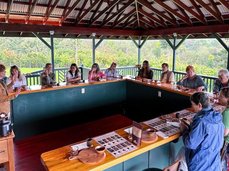 Big Island Hawaii Craft Chocolate Tasting and Farm Experience