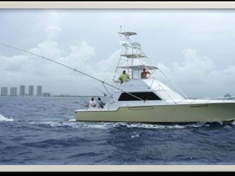 Deep Sea Fishing Activity in Miami Hollywood and Fort Lauderdale