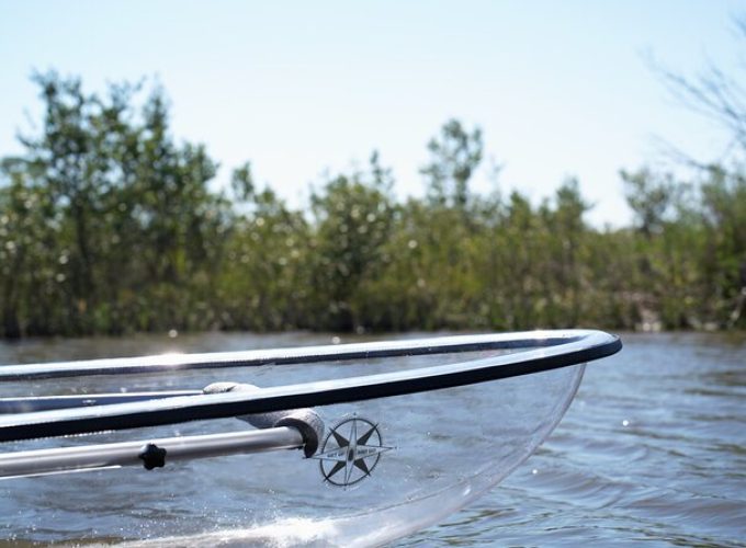 2-Hour Glass Bottom Guided Eco Tour in Flagler County-Small-group