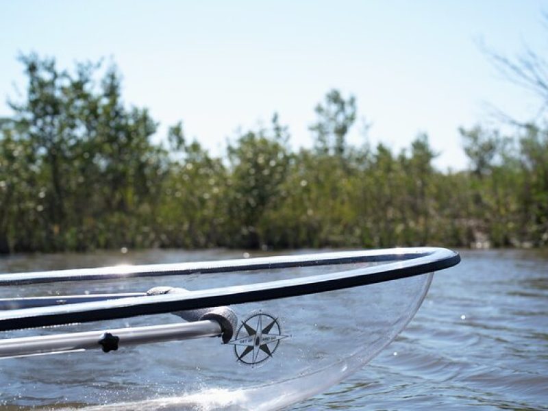 2-Hour Glass Bottom Guided Eco Tour in Flagler County-Small-group