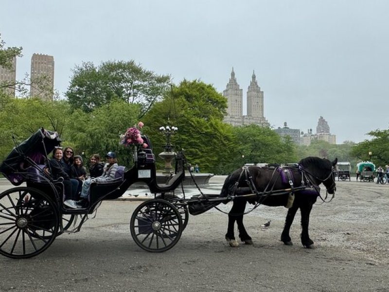 Private Horses Carriage Ride Tour in Central Park with a Guide