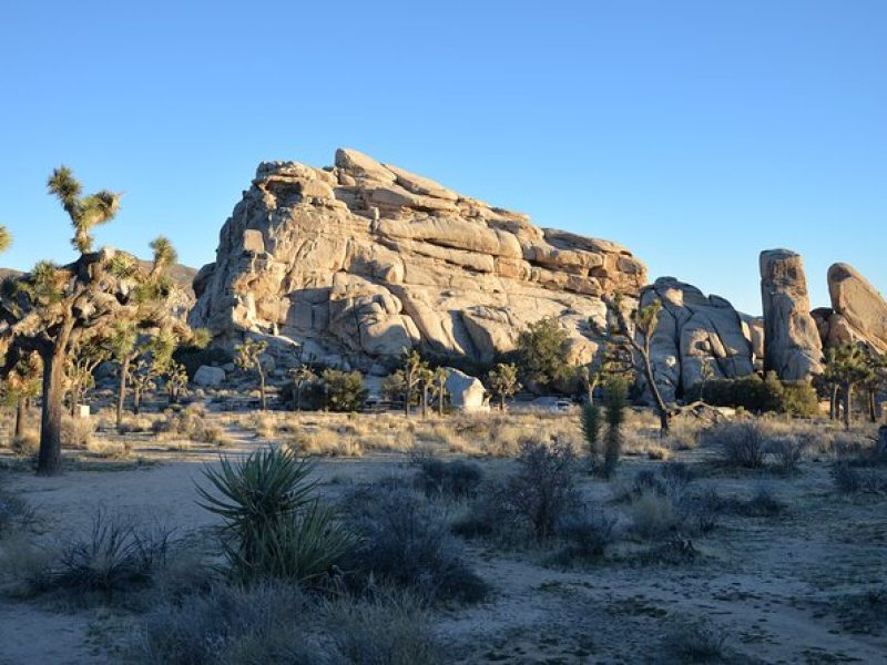 2-days Private Tour to Joshua Tree National Park from Los Angeles