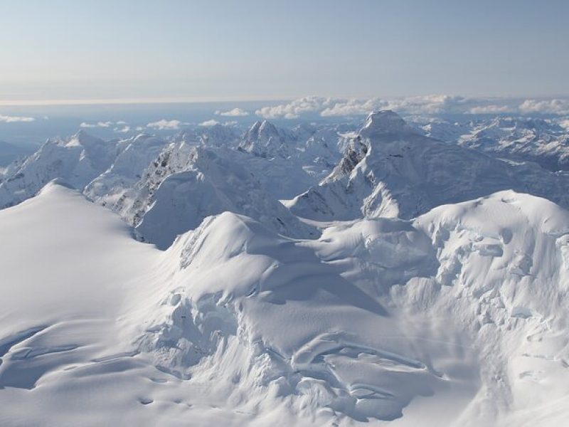 Denali Mountaineer Flightseeing Tour from Talkeetna