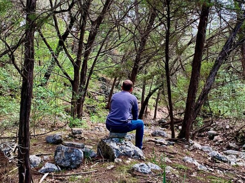 Forest Mindfulness and Embodiment Experience