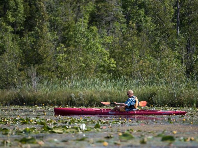 Door County Wetlands Kayak Tour