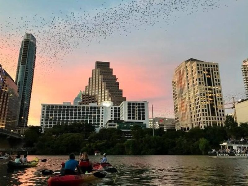 Congress Avenue Bat Bridge Kayak Tour in Austin