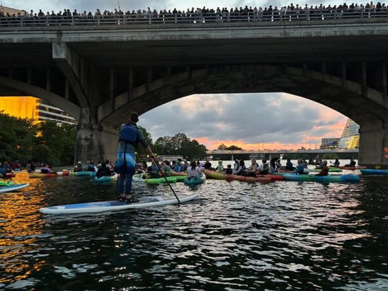 Congress Avenue Bat Bridge Paddleboard Tour