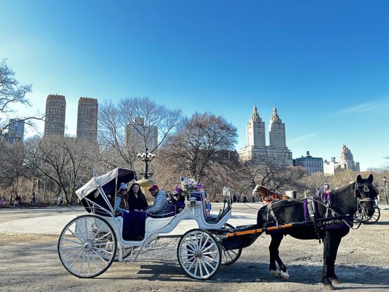 Luxury Horse and Carriage Tours in Central Park