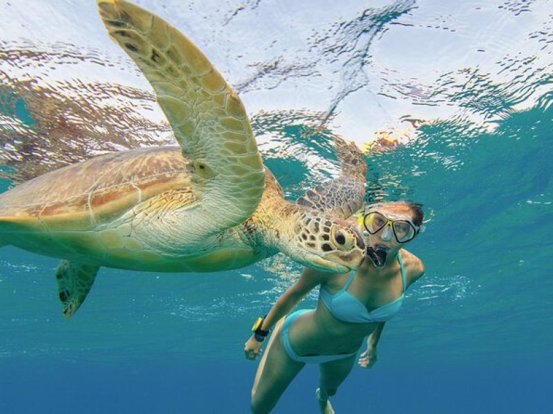 Swim with Turtle Water Scooter and Paddleboard Adventures in Oahu