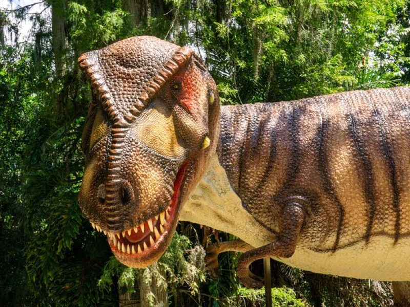 Dinosaur World Theme Park