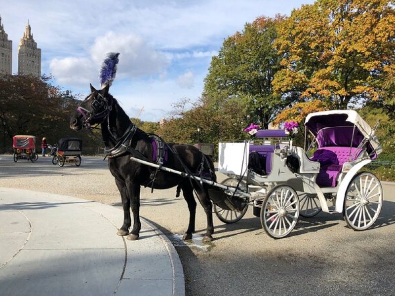 NYC Big Apple Horse Carriage Rides in Central Park